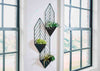 Decoración de pared Dashney
