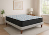 Pack Cama king Escandinava Elite Springs Firm